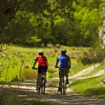 thumb_biker riding together in southland nz