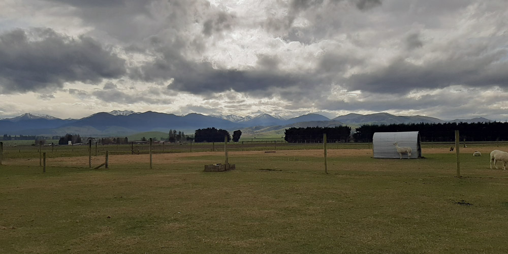 Lumsden field view