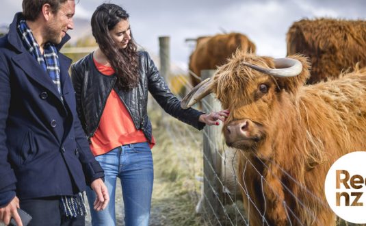 Real NZ – Walter Peak Farm Tour